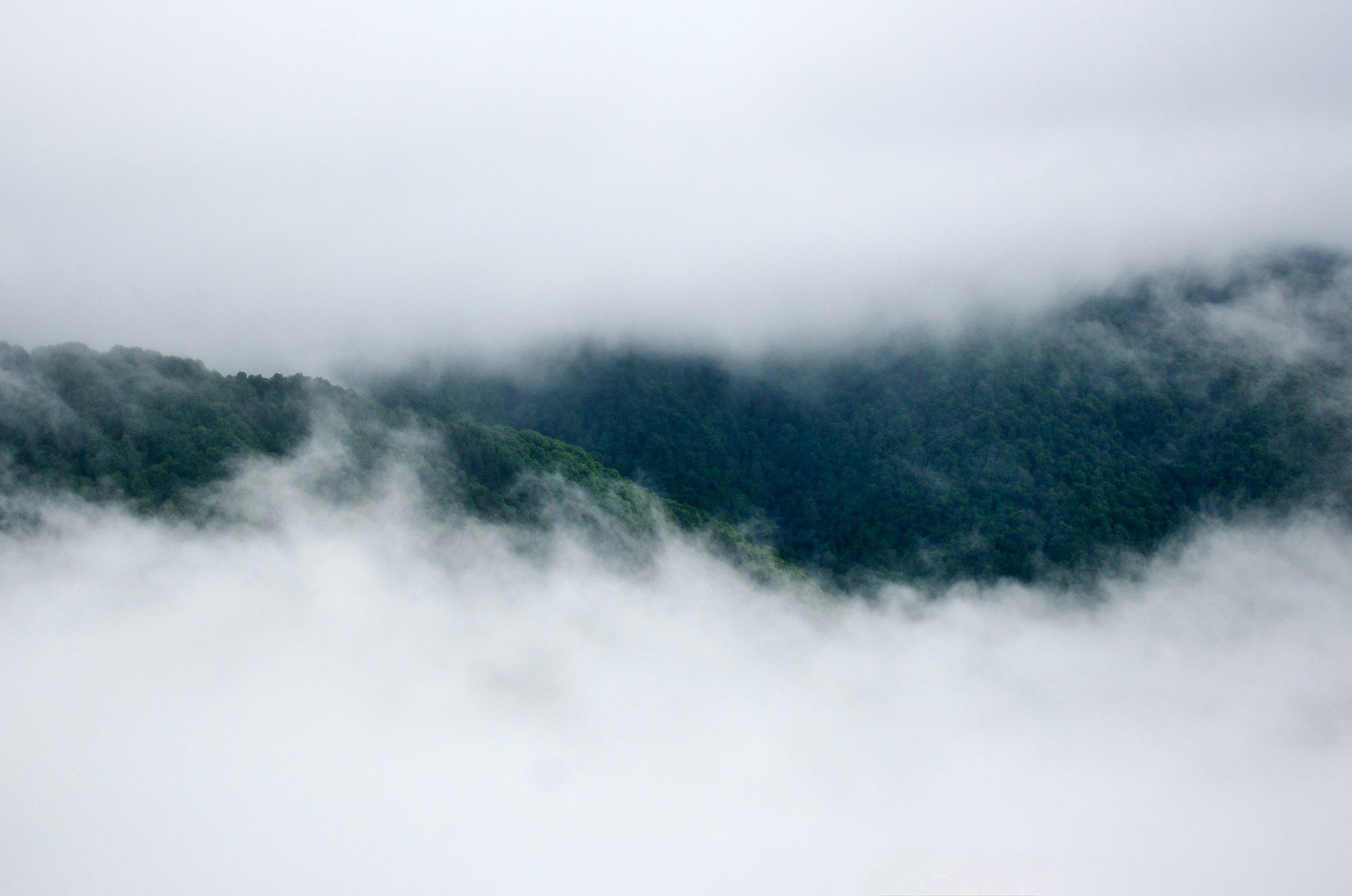 Low cloud and mist drifting over forested hills.