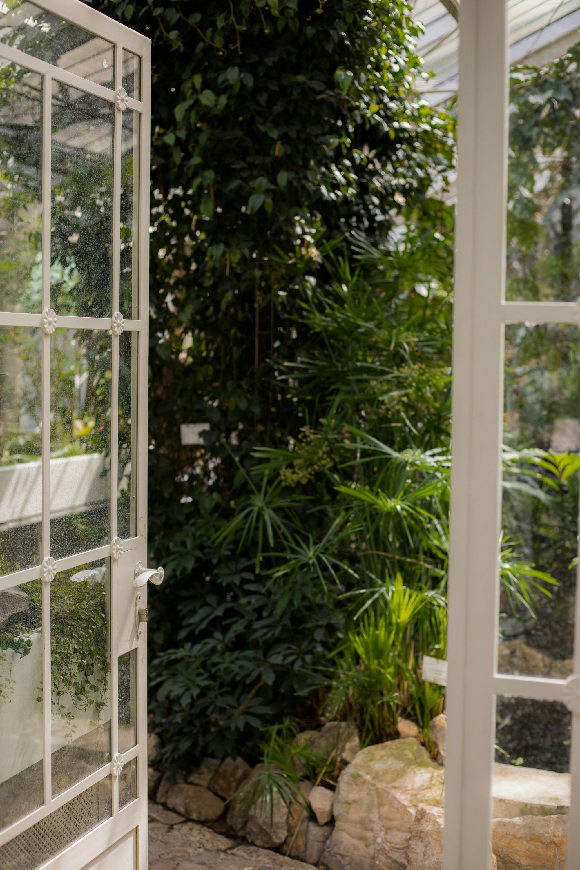 A white wooden door standing open onto thick green trees and plants.